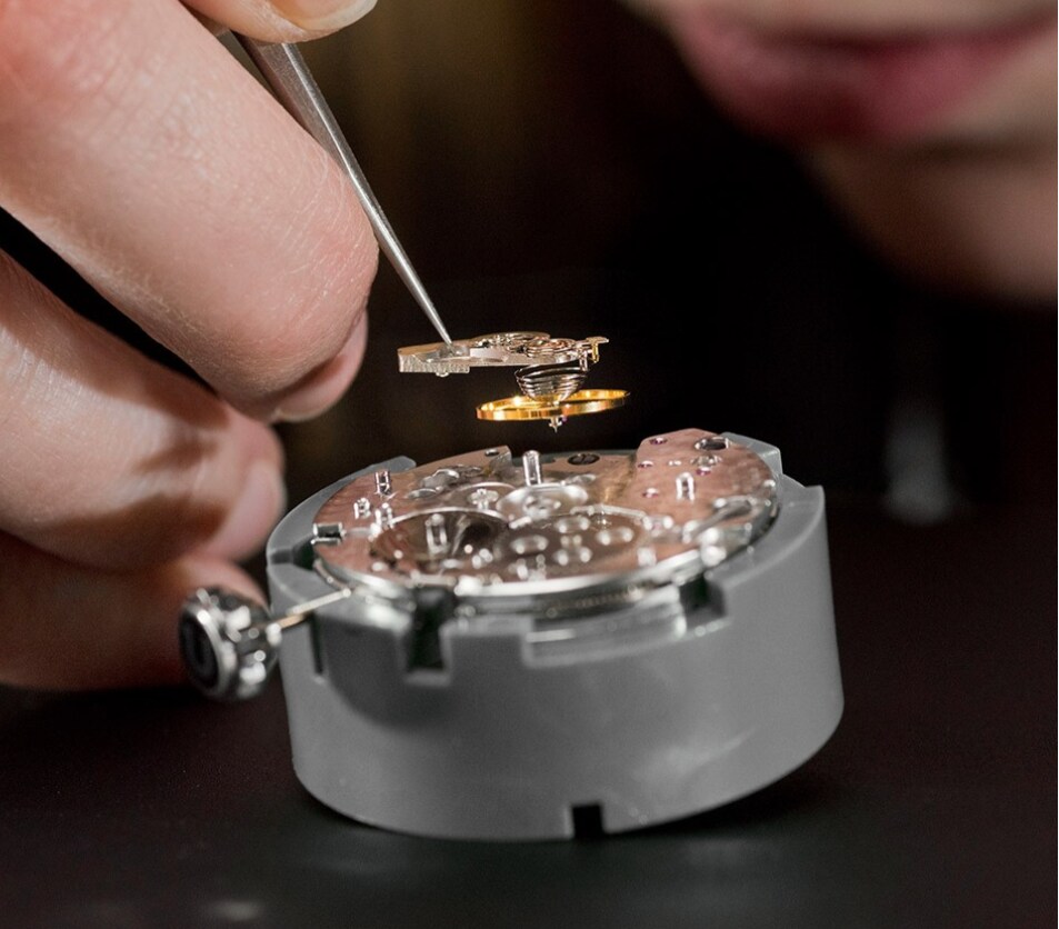 The 